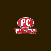 PC Company Logo