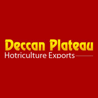 Deccan Plateau Hotriculture Exports Logo