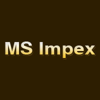 MS Impex Logo