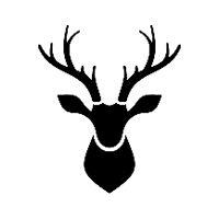 Areez International LLP