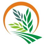 Rise Agro Infra Pvt. Ltd. Logo