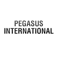 Pegasus International Logo