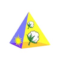 Sunlight Pyramid International LLP INDIA Logo