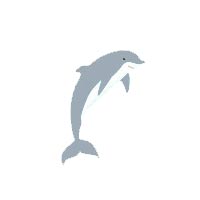 Dolphin Pharmacy Instruments Pvt Ltd. Logo