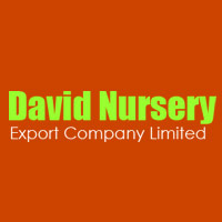 David Nursery Export Company Limited