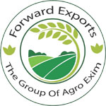 FORWARD EXPORTS Logo