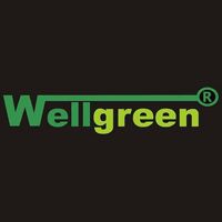 WELLGREEN PILLOW XPRESS
