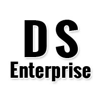 D S Enterprise Logo