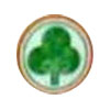 Aravali Home Care Logo
