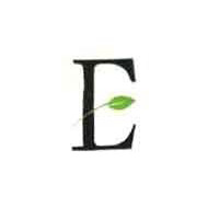 Emitting Enterprise Logo