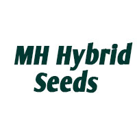 MH Hybrid Seeds Logo