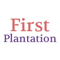 First Plantation