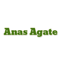 Anas Agate Logo