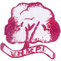 Vaishno Handmade Paper Industries Logo