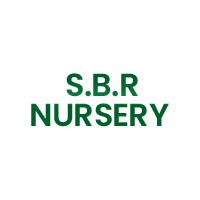 S.B.R Nursery