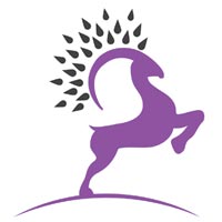 Himalayan Pashmina Shawls Logo