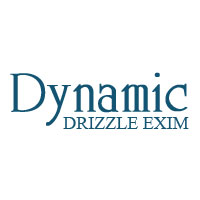 Dynamic Drizzle Exim