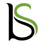 BS International Logo