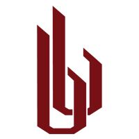 Bombay Barons Pvt. Ltd. Logo