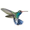 Hummingbird Exporters Logo