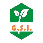 G.S. INTERNATIONAL Logo