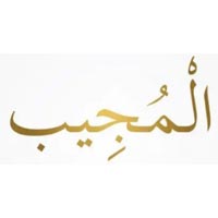 Al-Mujeeb Exports Logo