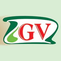 G. V. Corporation Logo