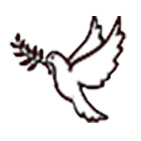 Kashmir Dream Travelers