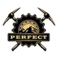 Perfect International for Exploring and Mining