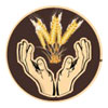 Sanaabil Agri Formulations Logo