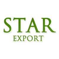Star Export Logo