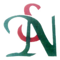 SN Engineering Logo