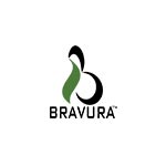 Bravura Tourism Travel Logo