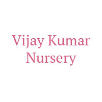 Vijay Kumar Nursery