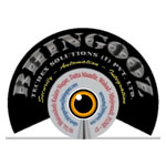 Bhingooz Techex Solutions India Pvt. Ltd. Logo
