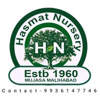 Malihabad Hasmat Nursary Logo