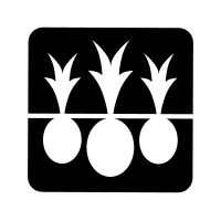 JT Asia Foods LP Ltd.