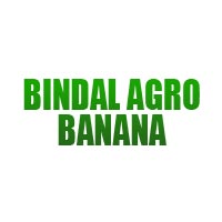 Bindal Agro Banana Logo