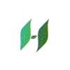 Healthy Herbs 9 Logo