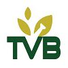 TVB Healthcare