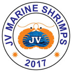 JV Marine Shrimps Logo
