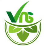 VNS AYURVEDA Logo