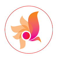 Shreeji Tours & Travels