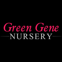 Green Gene Nursery Logo