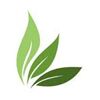 Grass Natura Fragrances & flavours pvt ltd