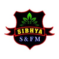 Sibhya Securitry And Facilities Management Private Limited