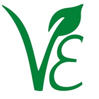 Vinayak Enterprise Logo