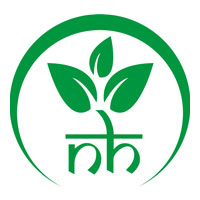 N H Exports Logo