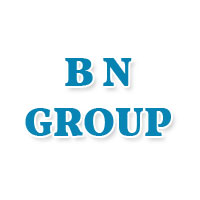 B N Group Logo