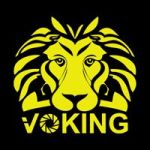 Chengdu Voking Digital Technology Co LTD